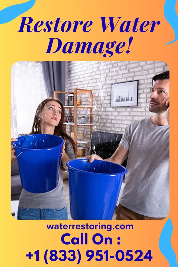 water restoration Total Extraction Solutions Commack